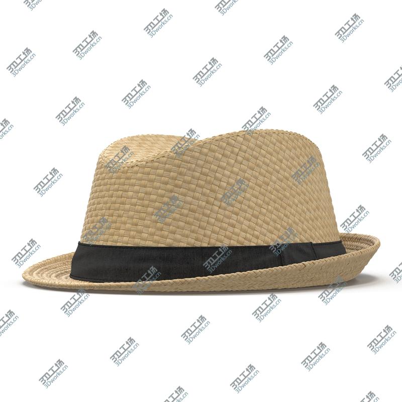 images/goods_img/2021040234/Mens Straw Hat/5.jpg